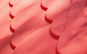 Pilsgate plastic roof costs