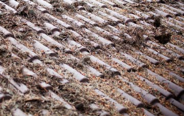 Pilsgate roof cleaning companies